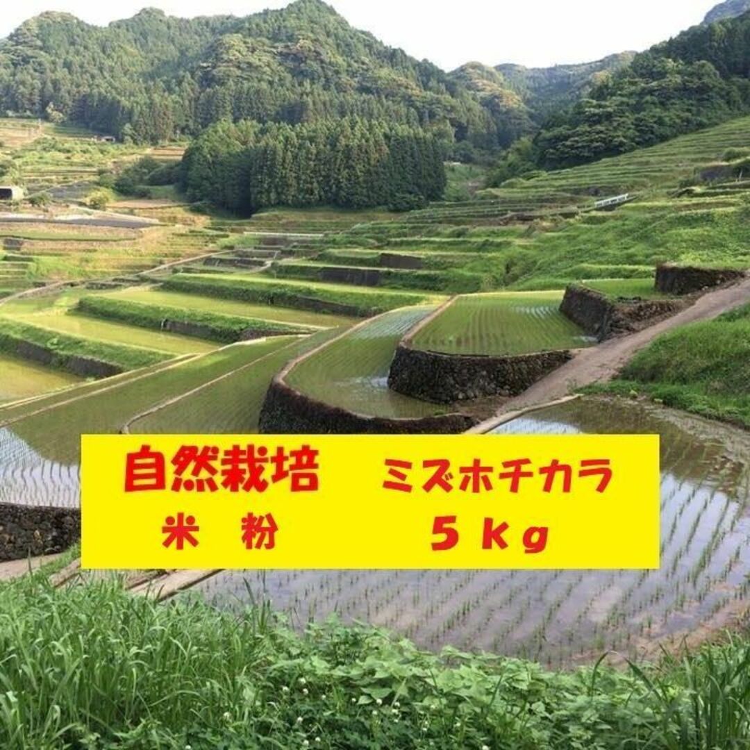 【新米】自然栽培「ミズホチカラ」米粉　１ｋｇＸ５袋自然栽培