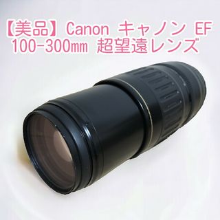 ✨幅広い撮影に✨Canon キャノン EF 100-300mm 超望遠レンズ(レンズ(ズーム))