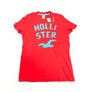 ホリスター(Hollister)のホリスター　タグ付き　新品(Tシャツ/カットソー(半袖/袖なし))
