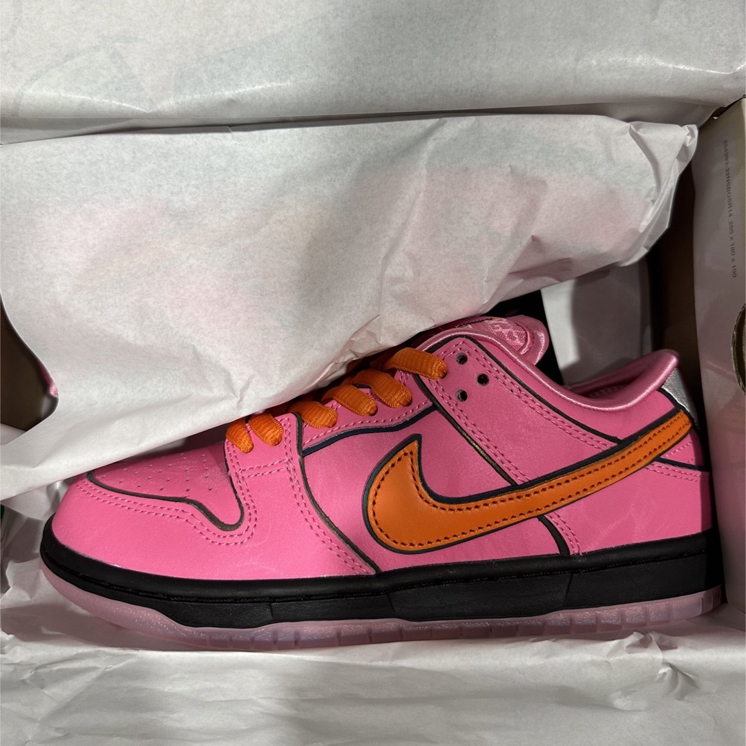 スニーカーThe Powerpuff Girls × Nike SB Dunk Low