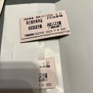 株主優待　乗車券　10枚(鉄道乗車券)