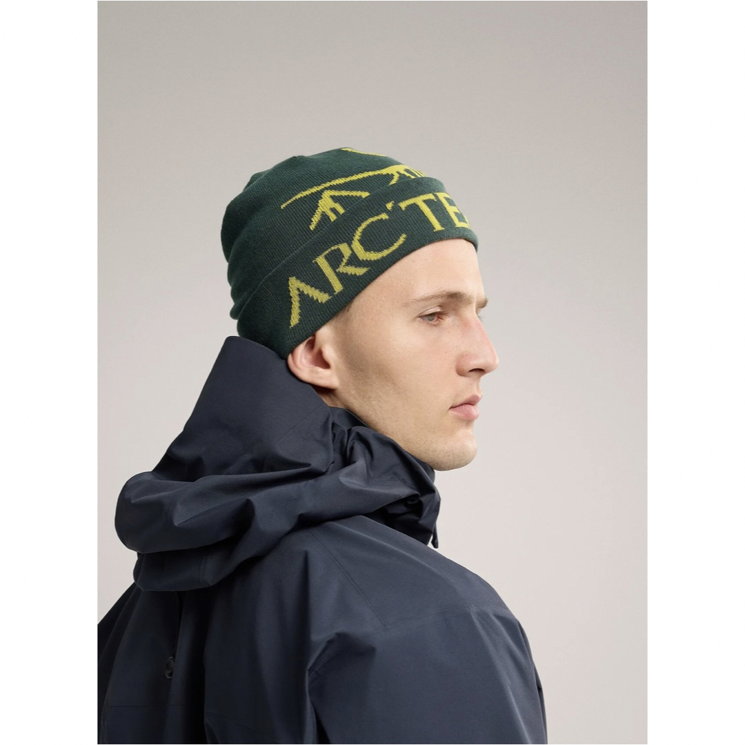 Arc'teryx Bird Word Toque ビーニー-