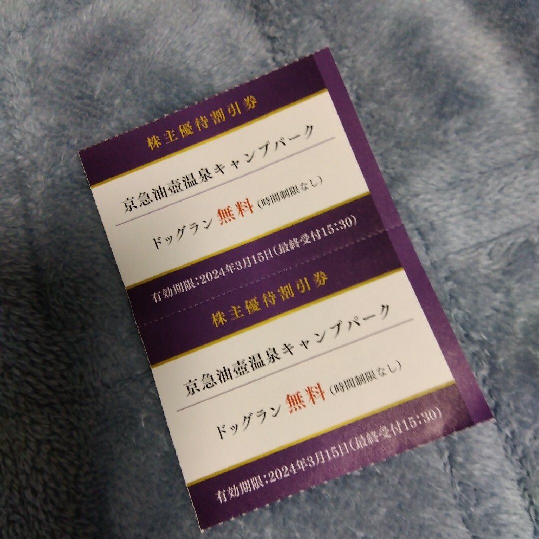 京急油壷温泉キャンプパーク✕2枚 チケットの優待券/割引券(その他)の商品写真