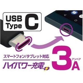 新品カシムラ コンセプト用充電器AC typeC 3A 1m BK AC-012(バッテリー/充電器)