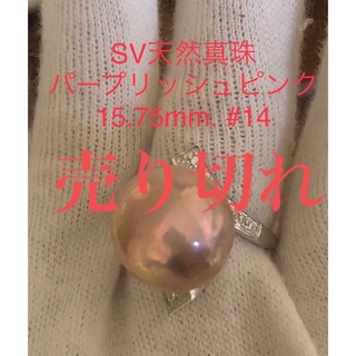 SV天然真珠　パープリッシュピンク　15.75mm. #14(リング(指輪))
