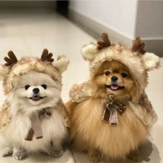 mさん専用(犬)