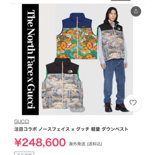 Gucci - 美品　GUCCI 21AW THE NORTH FACE DOWN ダウンベスト