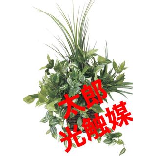 光触媒　人工観葉植物　ウォールグリーン　フェイクグリーン　壁掛けナチュラルグラス(壁掛けミラー)