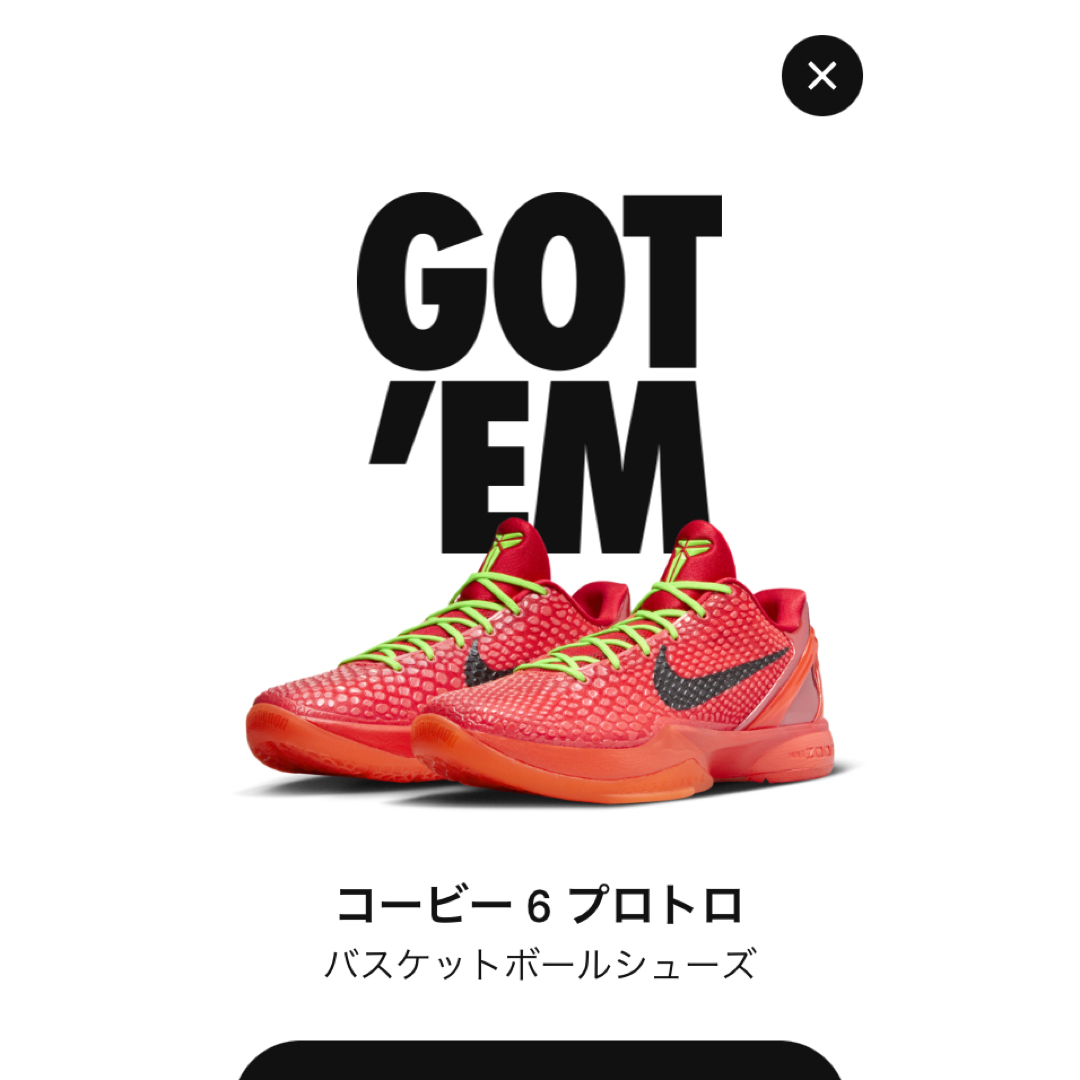 Nike Kobe 6 Protro "Reverse Grinch"靴/シューズ