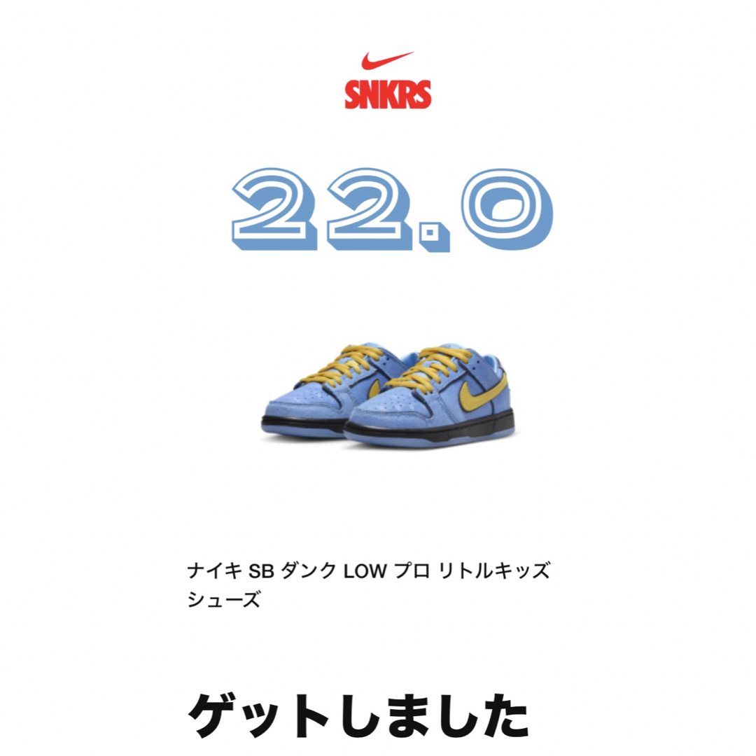 NIKE(ナイキ)のパワーパフガールズ × ナイキ SB PS ダンク ロー プロ QS バブルス キッズ/ベビー/マタニティのキッズ靴/シューズ(15cm~)(スニーカー)の商品写真