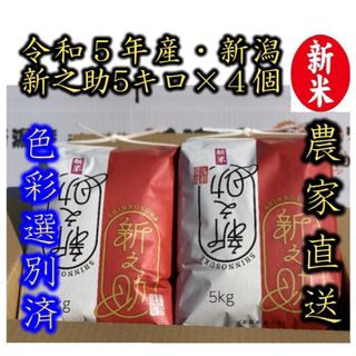 新米・令和5年産　新潟　新之助　白米5kg × 4個★農家直送★色彩選別済06(米/穀物)