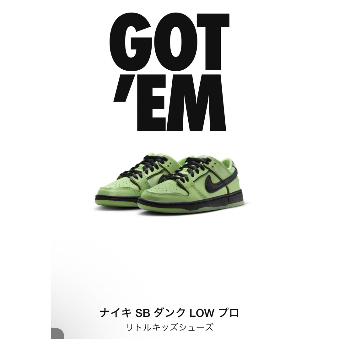 スニーカーThe Powerpuff Girls × Nike SB DunkLowPro