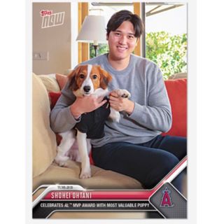 【カードローダー付き】【完売品】大谷翔平選手と愛犬の2ショットMVPカード (シングルカード)