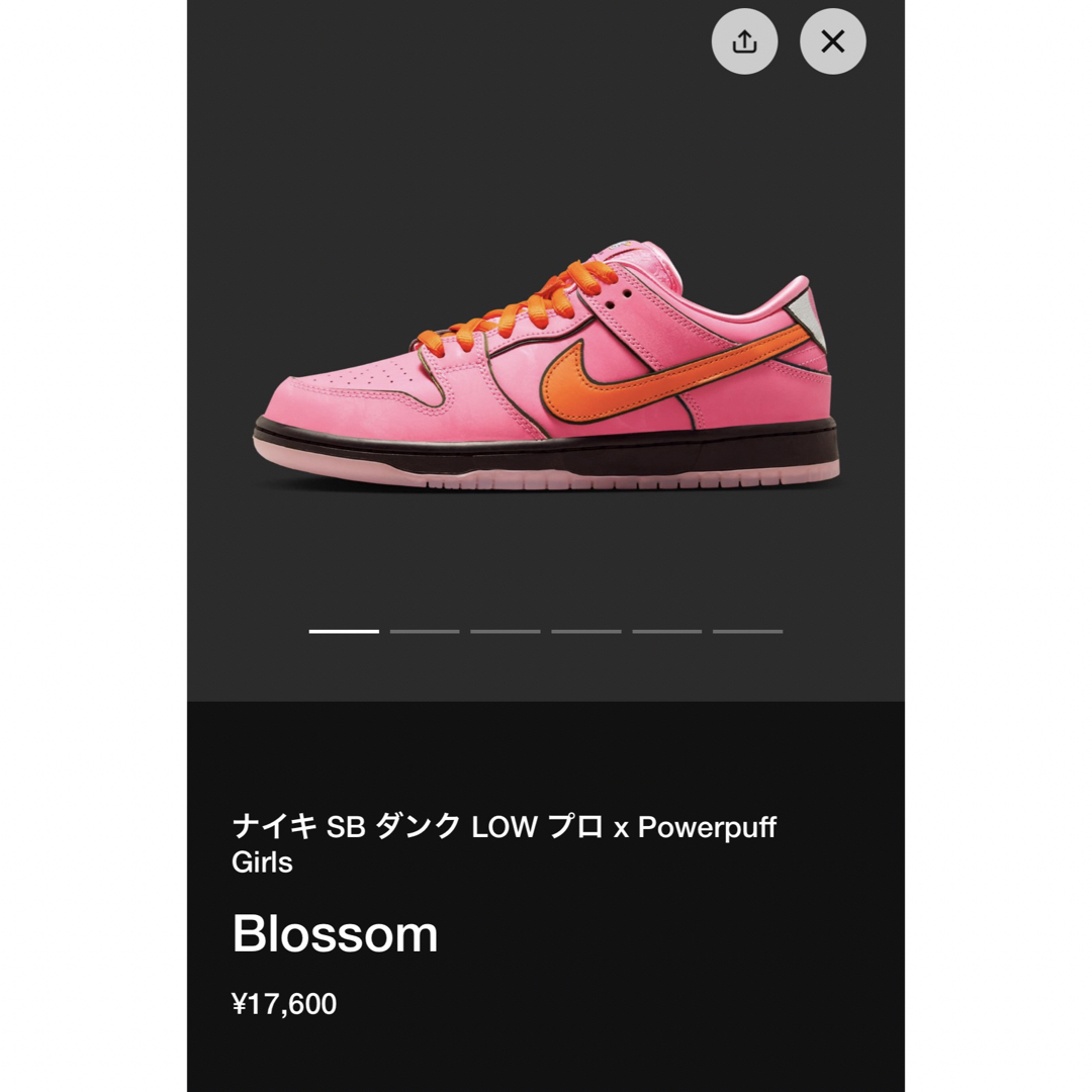 スニーカーThe Powerpuff Girls × Nike SB