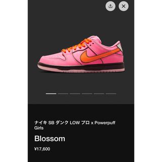 ナイキ(NIKE)のThe Powerpuff Girls × Nike SB(スニーカー)