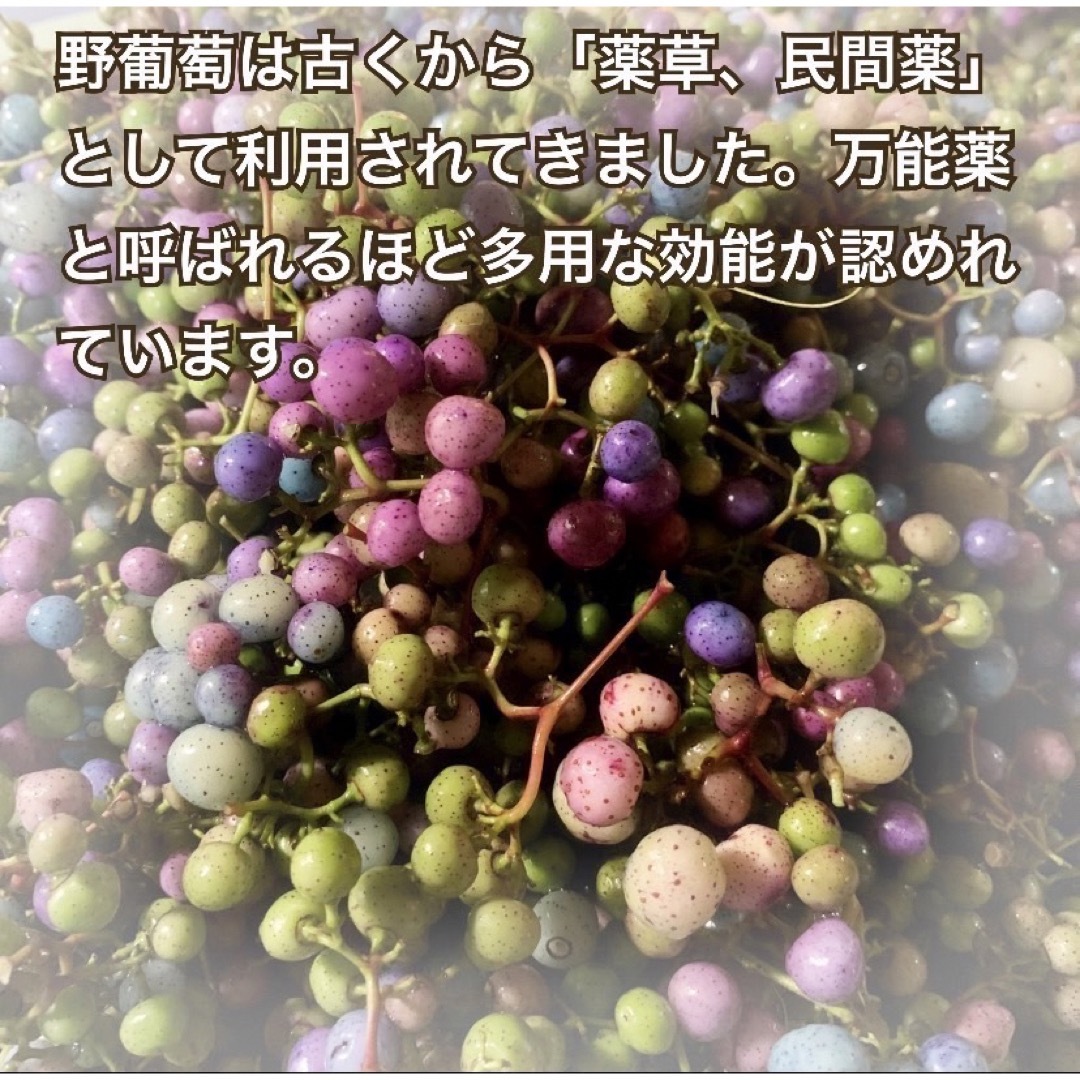 【天然素材・薬膳】馬ぶどう　3kg 岩手県産　真空個包装　馬ブドウ茶　薬膳 食品/飲料/酒の健康食品(健康茶)の商品写真