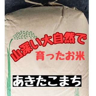 広島県産あきたこまち玄米30kg(令和5年産)(米/穀物)