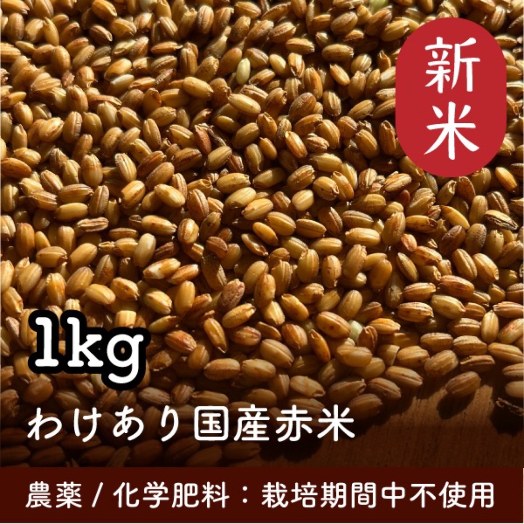 赤米1kg 令和5年産 家庭栽培 無農薬 わけあり 食品/飲料/酒の食品(米/穀物)の商品写真