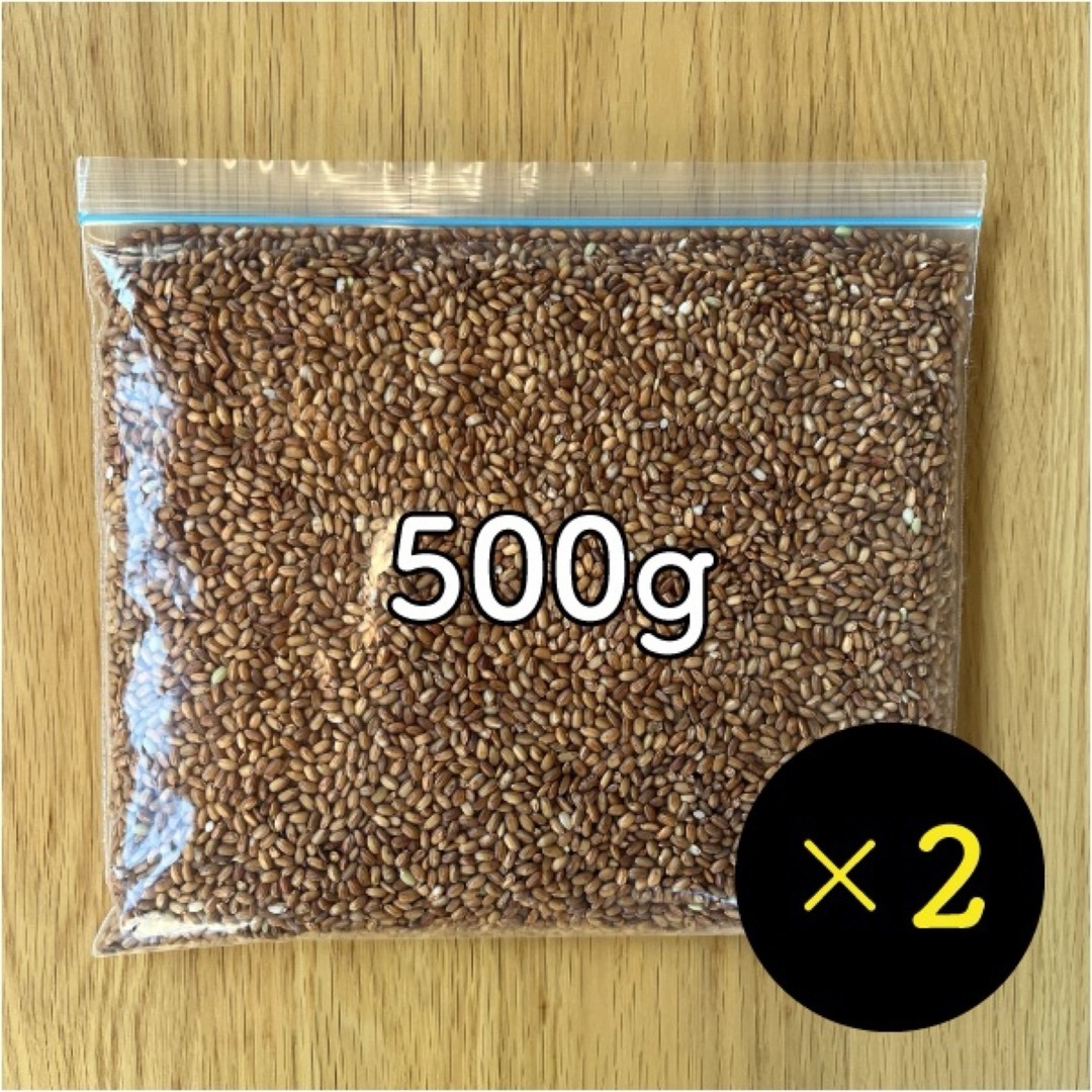 赤米1kg 令和5年産 家庭栽培 無農薬 わけあり 食品/飲料/酒の食品(米/穀物)の商品写真