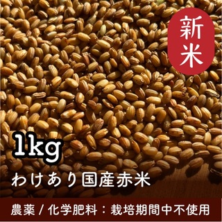 赤米1kg 令和5年産 家庭栽培 無農薬 わけあり(米/穀物)