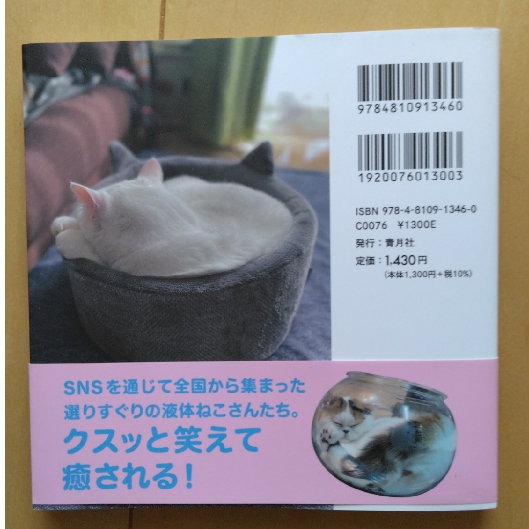 ねこは液体 エンタメ/ホビーの本(趣味/スポーツ/実用)の商品写真