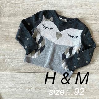 エイチアンドエム(H&M)のH&M★ふくろうニット　カットソー　90(ニット)