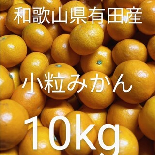 和歌山県有田産　小粒みかん10kg(フルーツ)