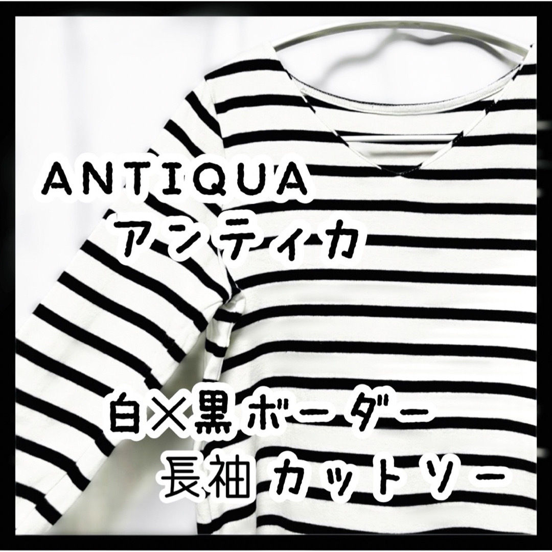 antiqua(アンティカ)のアンティカ Vネック カットソー 白×黒 ボーダー 長袖 レディースのトップス(カットソー(長袖/七分))の商品写真