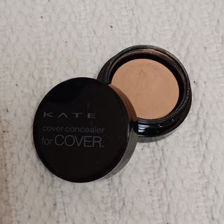 ケイト(KATE)のKATE フルカバーコンシーラー NB(コンシーラー)