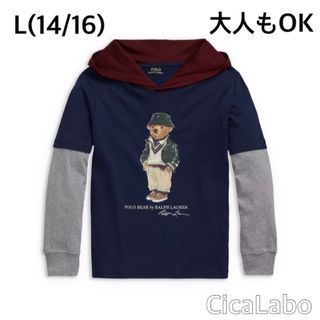 ラルフローレン(Ralph Lauren)の【新品】ラルフローレン ポロベア パーカー ロンT カラーブロック L(Tシャツ/カットソー)