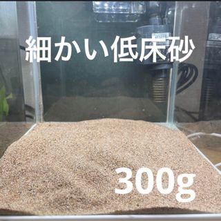 【水槽をパッと明るく！】細かい低床砂300g(アクアリウム)