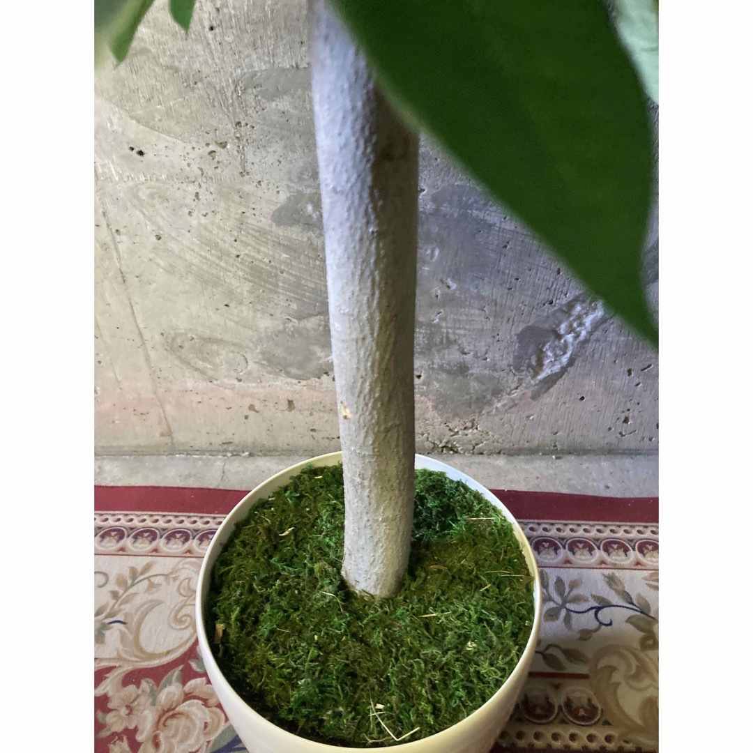 光触媒 人工観葉植物 ウォールグリーン フェイクグリーン 丸刈 光触媒 人工観葉植物 ウォールグリーン フェイクグリーン 丸刈