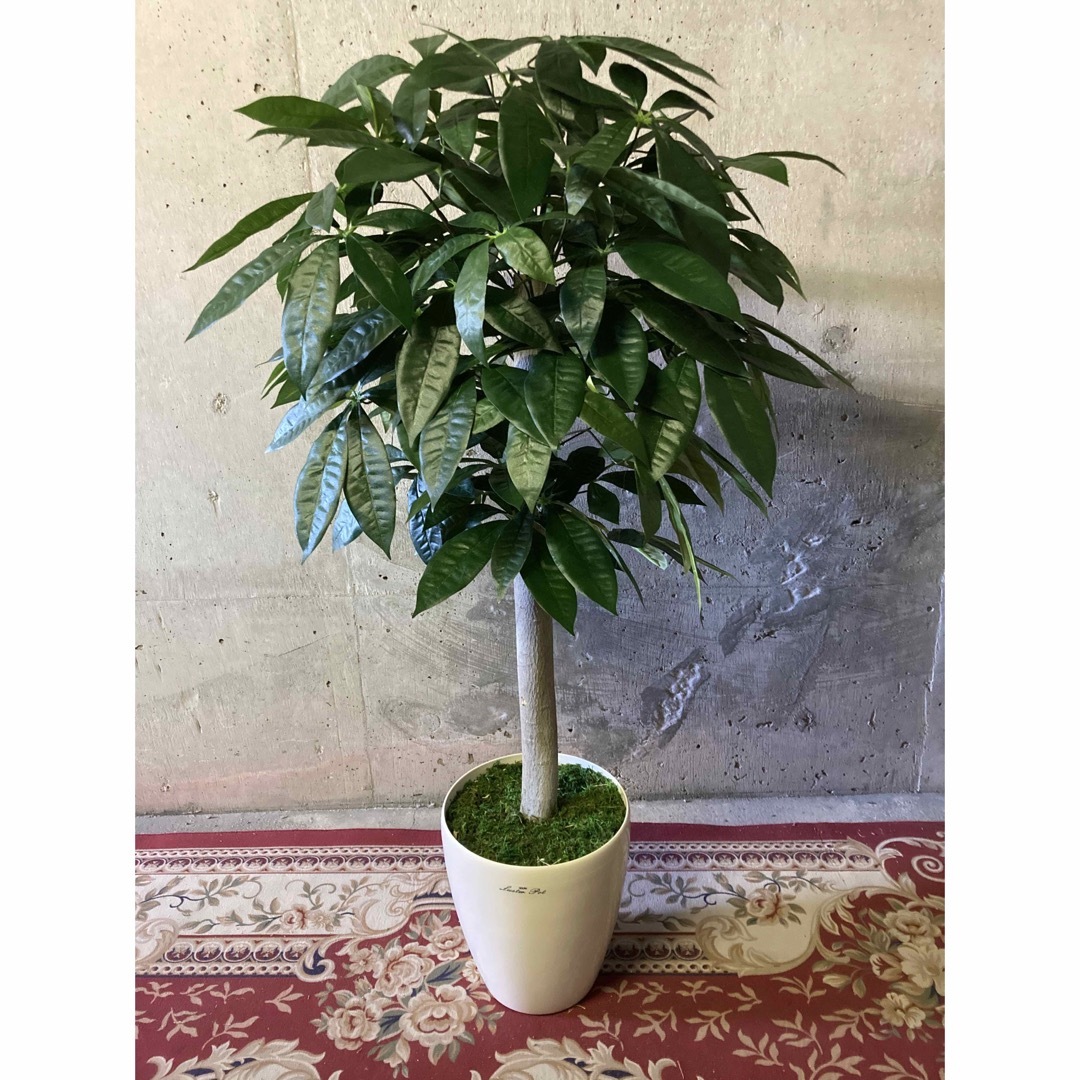 光触媒 人工観葉植物 ウォールグリーン フェイクグリーン 丸刈 光触媒 人工観葉植物 ウォールグリーン フェイクグリーン 丸刈