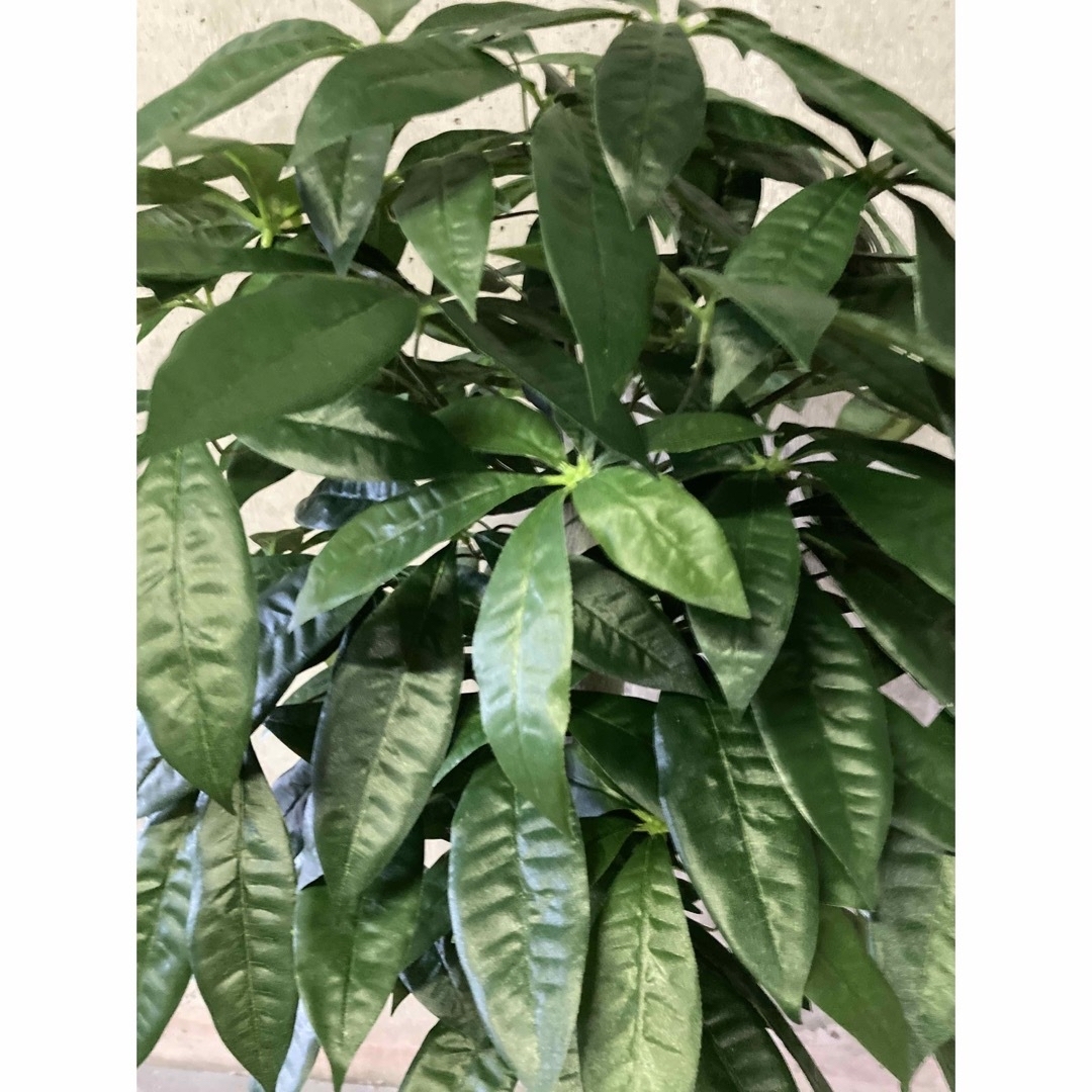 光触媒 人工観葉植物 ウォールグリーン フェイクグリーン 丸刈 光触媒 人工観葉植物 ウォールグリーン フェイクグリーン 丸刈