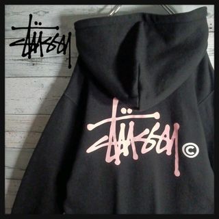 STUSSY - 希少デザイン ステューシー スネークセンターロゴ パーカー