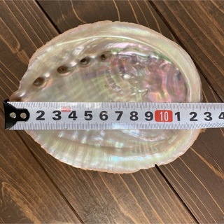 アワビの貝殻  12.5アバロンシェル 浄化 香皿(お香/香炉)