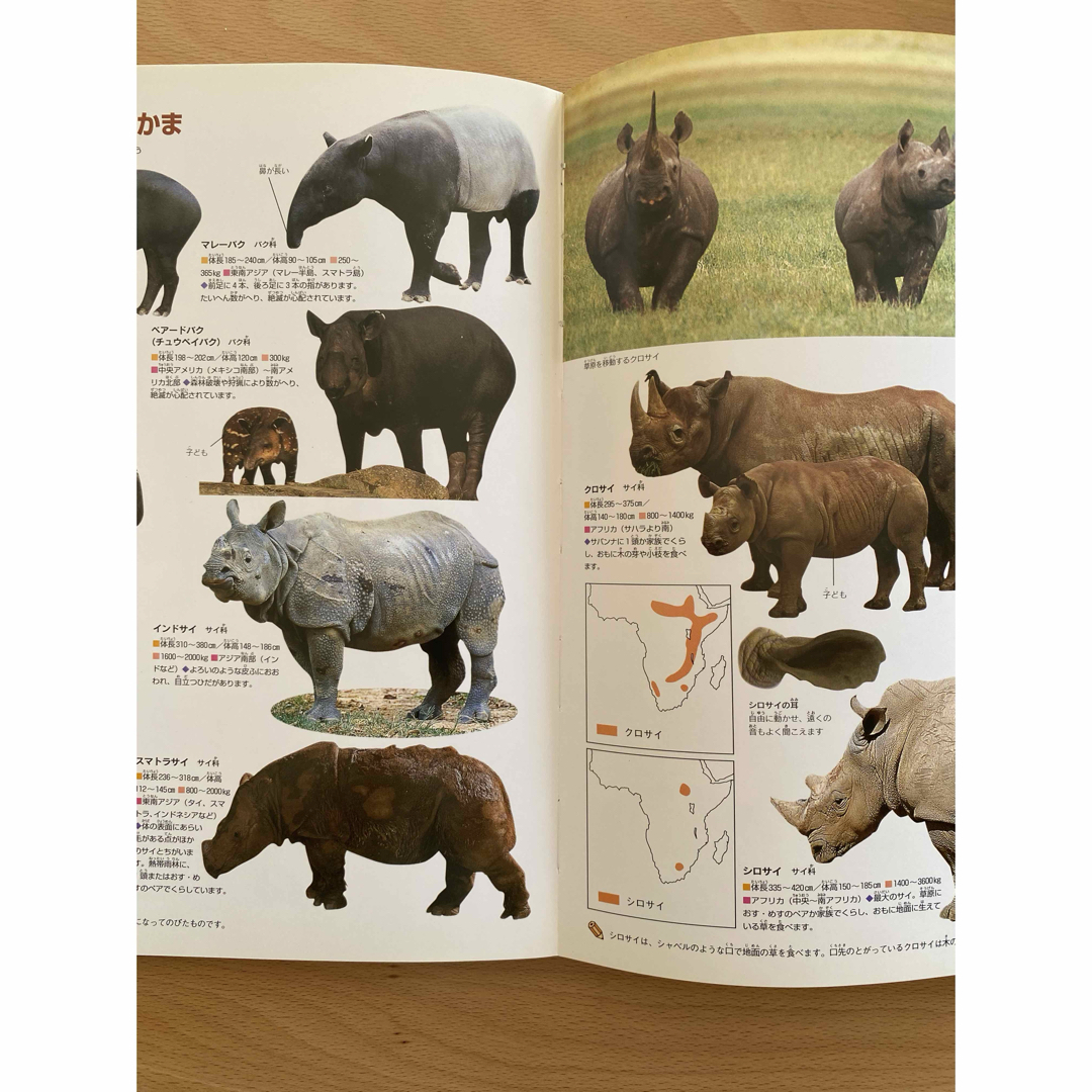学研 - 学研の図鑑 ニューワイド 動物の通販 by ゆいこ 学研 - 学研の図鑑 ニューワイド 動物の通販 by ゆいこ