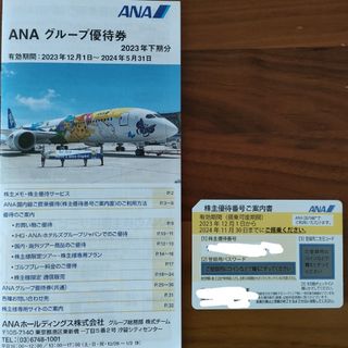 エーエヌエー(ゼンニッポンクウユ)(ANA(全日本空輸))のANA株主優待　 グループ優待券(その他)