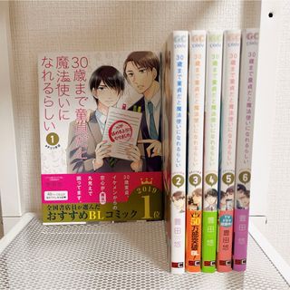 30歳まで童貞だと魔法使いになれるらしい(ボーイズラブ(BL))