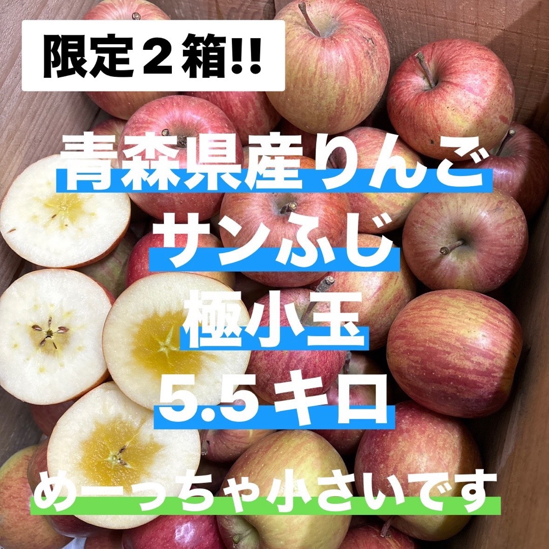 青森県産 りんご サンふじ 5.5キロ 極小玉 食品/飲料/酒の食品(フルーツ)の商品写真