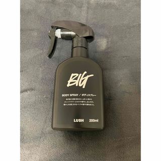 ラッシュ(LUSH)の【値下げ】　BIG    ボディスプレー　ラッシュ　LUSH(その他)