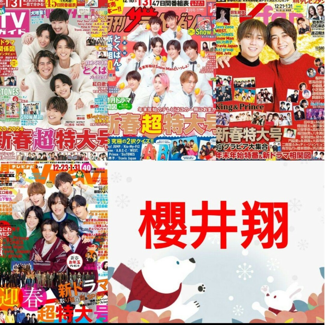 月刊TVガイド TVnavi TVfan 切り抜き