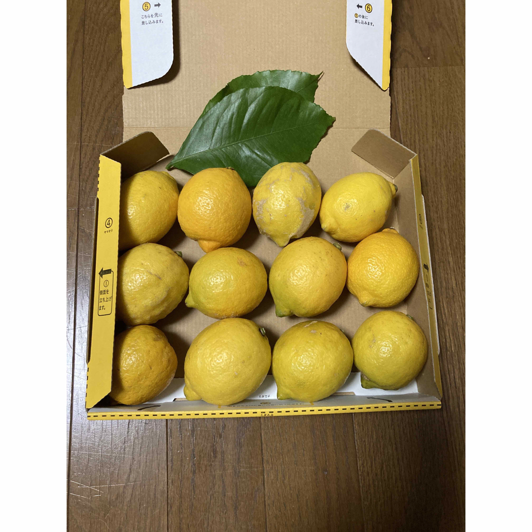 レモン　農薬不使用　箱いっぱい　約1.25kg 食品/飲料/酒の食品(フルーツ)の商品写真
