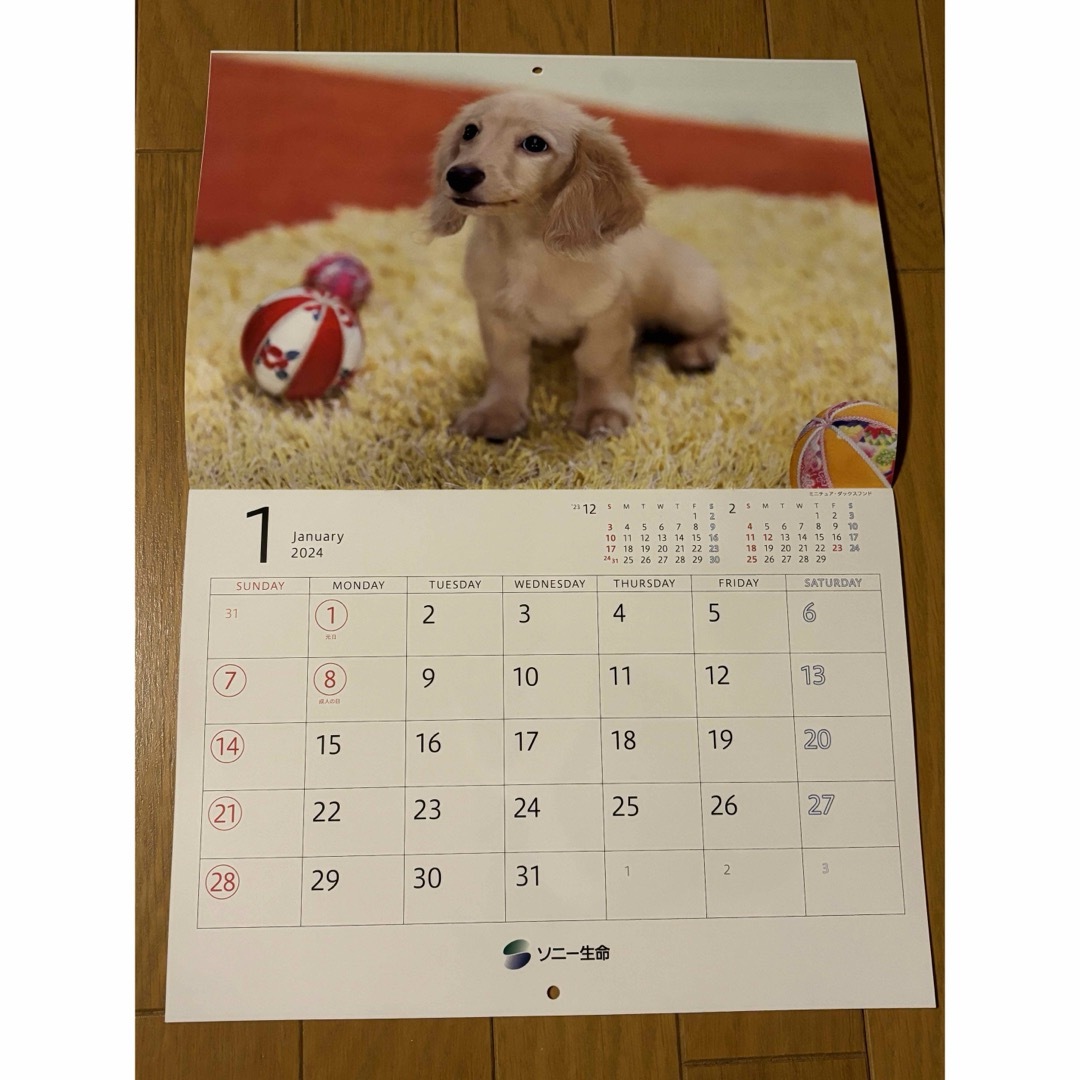 SONY(ソニー)のソニー生命　2024年カレンダー インテリア/住まい/日用品の文房具(カレンダー/スケジュール)の商品写真