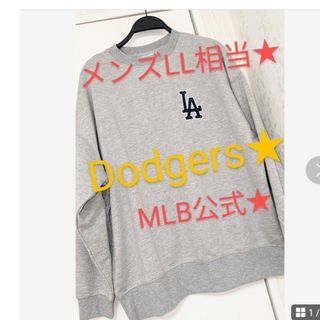 メジャーリーグベースボール(MLB)の大谷翔平 ドジャーストレーナーLメジャーMLB　メンズLL相当　パーカー男の子(記念品/関連グッズ)