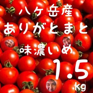 八ヶ岳産　行列ありがとまと 約1.5kg  味が濃いめ　農薬薄め 子ども大好き(野菜)