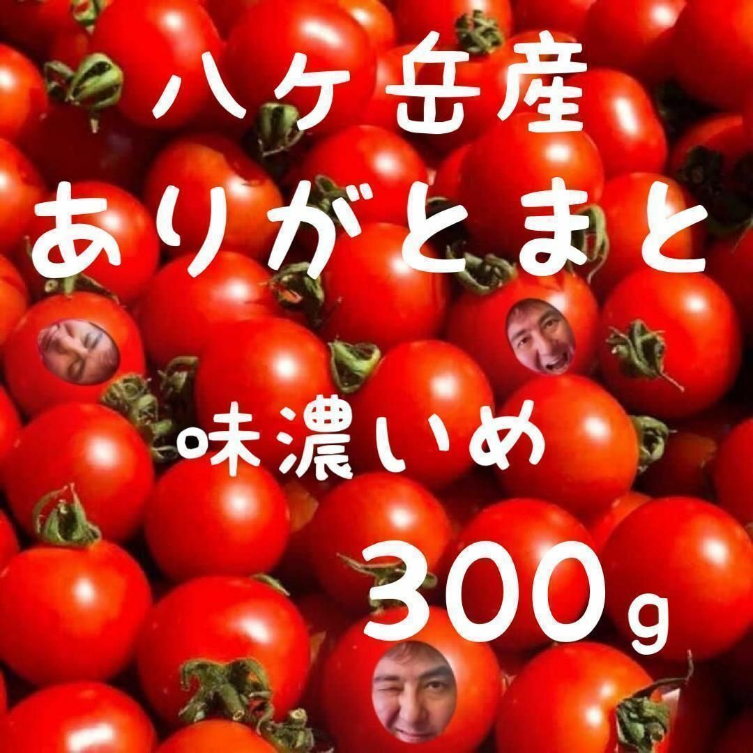 八ヶ岳産 行列ありがとまと 約300g 味濃いめ！農薬は薄め！少量お試し！ 食品/飲料/酒の食品(野菜)の商品写真