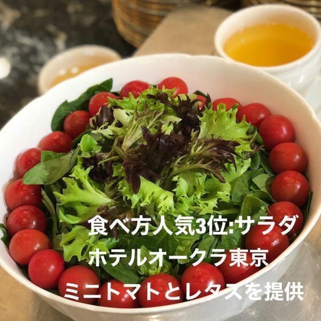 八ヶ岳産 行列ありがとまと 約300g 味濃いめ！農薬は薄め！少量お試し！ 食品/飲料/酒の食品(野菜)の商品写真