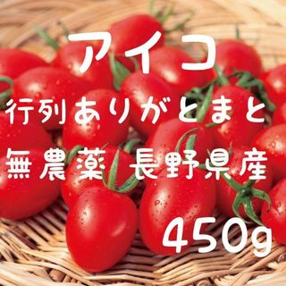 無農薬アイコ　八ヶ岳産　行列ありがとまと 約450g  味濃いめ(野菜)