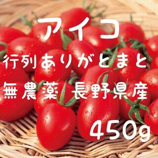 無農薬アイコ　八ヶ岳産　行列ありがとまと 約450g  味濃いめ(野菜)